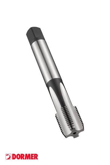 Dormer e282