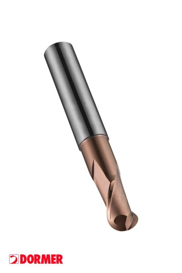 Dormer s229